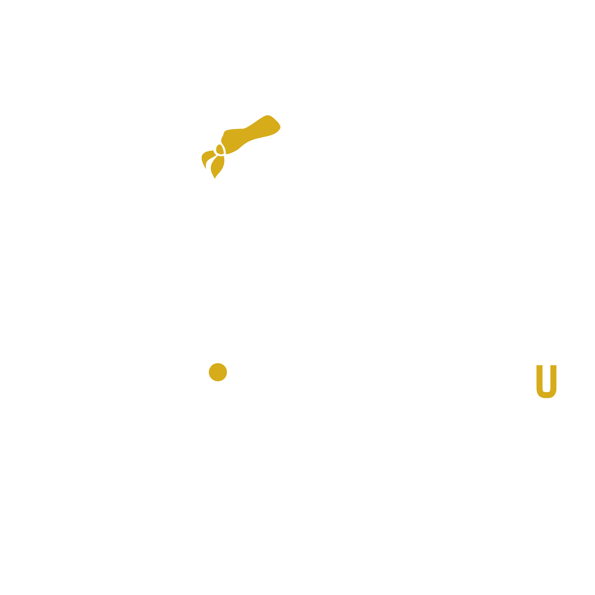 SK Academy-Table Tennis
